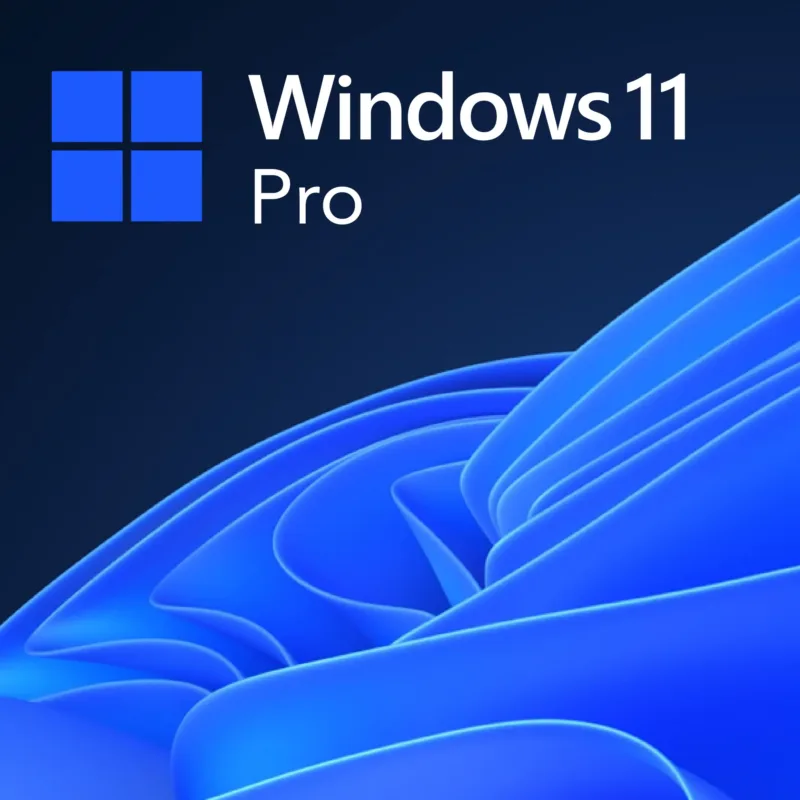 Microsoft Windows 11 Professional