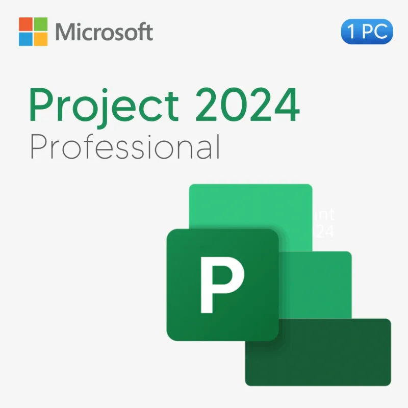 Microsoft Project 2024 Professional