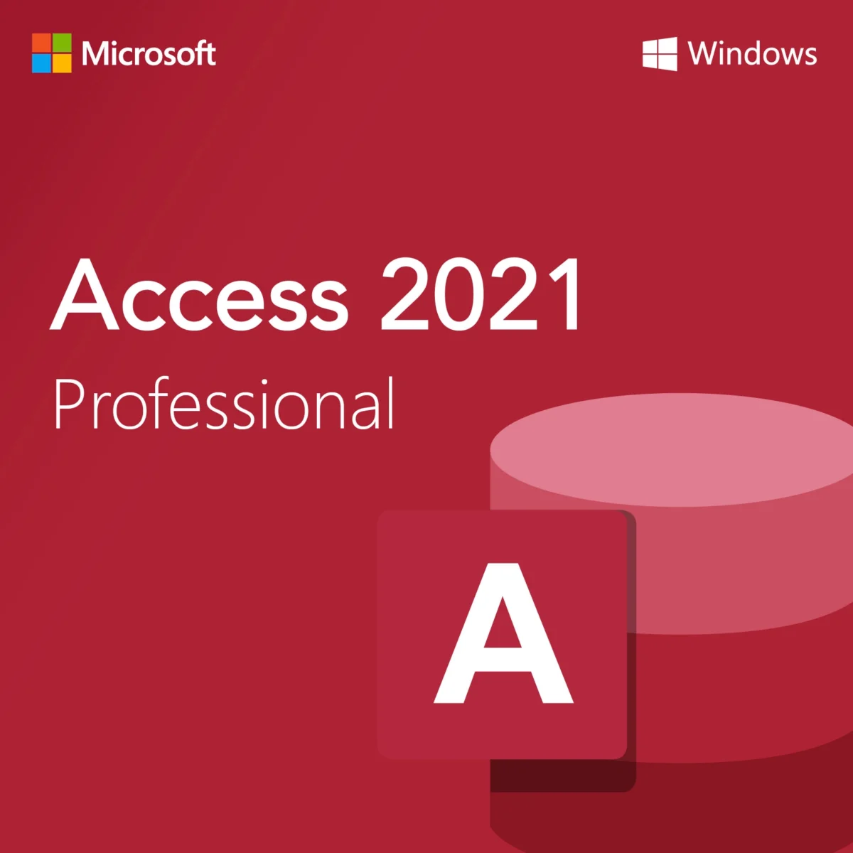 Microsoft Access 2021 Professional For 1 PC – GetDigiMarket