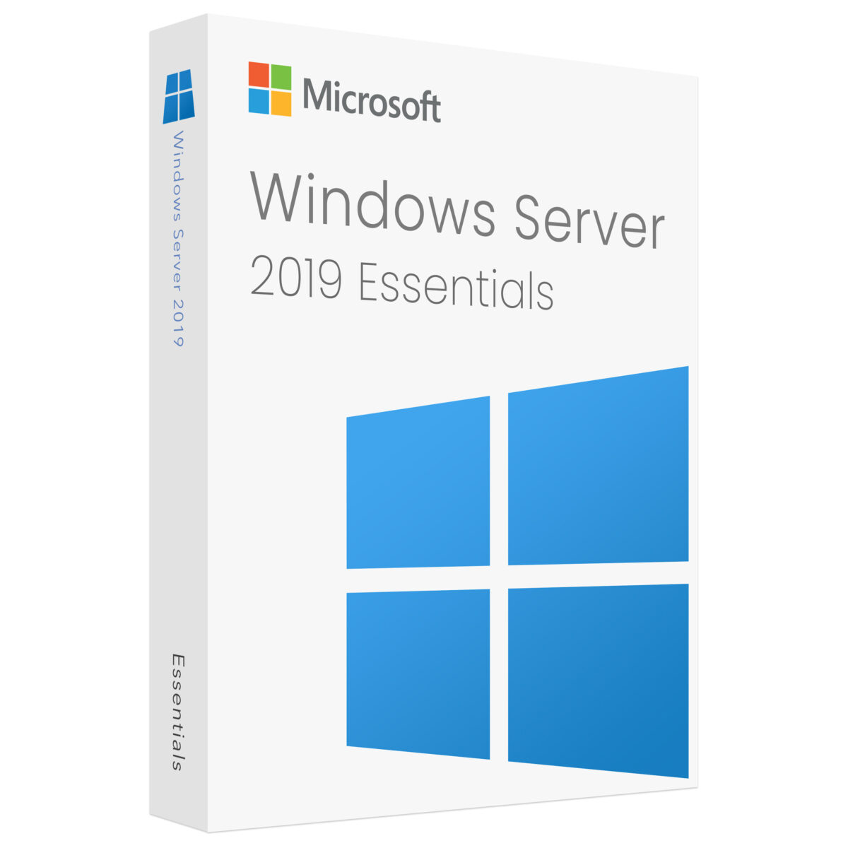 Microsoft Windows Server 2019 Essentials For 1PC