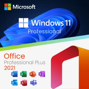 Office 2021 Professional Plus + Windows 11 Pro