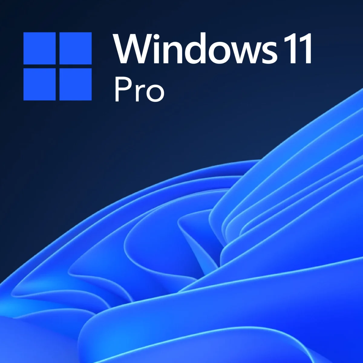 Microsoft Windows 11 Professional GetDigiMarket